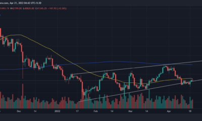 Bitcoin의 현재 수요, 이익 수준에는 최적의 BTC 할당에 대한 단서가 있습니다.