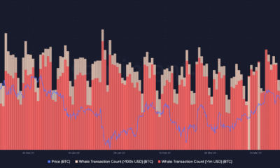 러시아의 우크라이나 침공에 대한 BTC, ETH 및 USDT 고래의 반응