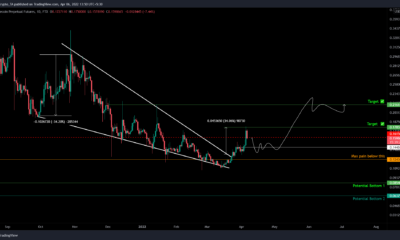 왜 도지코인 [DOGE] 가격은 잠재적인 50% 상승 전에 되돌릴 가능성이 있습니다.