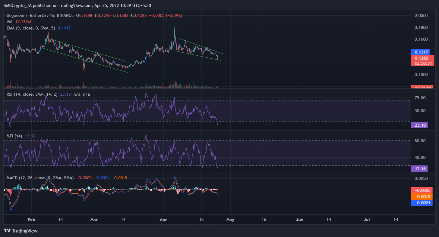 DOGE 소유자는 Musk의 Twitter 제안이 다시 테이블에 오른 것에 대해 기뻐해야합니까?