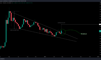 Dogecoin: DOGE는 Musk의 촉매 뒤에 얼마나 갈 것입니까?
