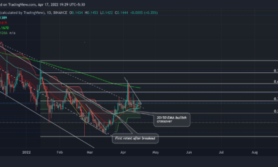 $0.14 이상으로 집회를 유지하는 DOGE 고래의 확률 매핑