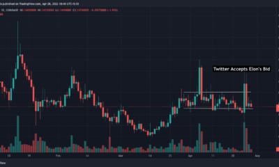 DOGE-Twitter 상관 관계가 미래에 어떻게 나타날 수 있습니까?