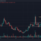 DOGE-Twitter 상관 관계가 미래에 어떻게 나타날 수 있습니까?