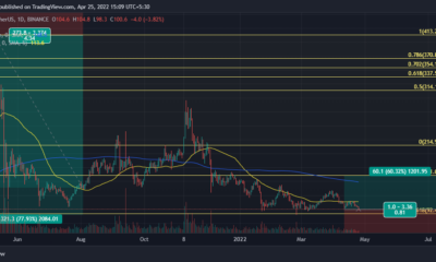 Litecoin: 판매 압력이 심한 가운데 60% 랠리 가능성 있음