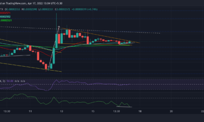 Shiba Inu, Ethereum Classic, ApeCoin 가격 분석: 4월 17일