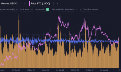BTC 및 alts에 대한 '스테이블코인의 고래 거래 증가'가 무엇을 의미하는지 해독