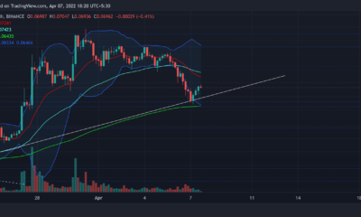 VeChain: 포지션 진입 전 투자자를 위한 가이드