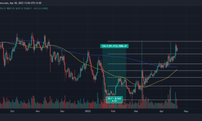 XMR: 역사적 최저점에서 ATH로, Monero는 다음 달에 달릴 것입니까?