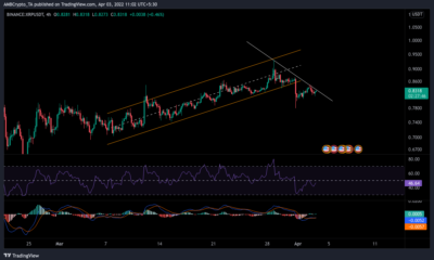 XRP, Zilliqa, Dogecoin, Polkadot 가격 분석: 4월 3일