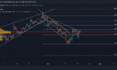 XRP가 회복을 준비하는 동안 현재로서는 장기 베팅이 이상적입니다.