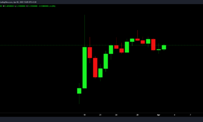 ApeCoin은 Mutant가 누락된 BAYC의 Discord 해킹으로 잠을 자지 못하고 있습니다.