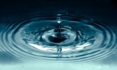 Ripple 대 SEC: Ripple CEO가 긍정적으로 유지하면서 또 다른 확장에 대한 Watchdog 파일