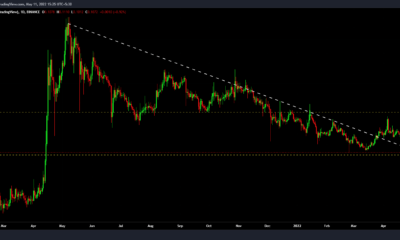 이것은 Dogecoin이 18%의 충돌과 1,400만 달러의 청산 후에 갈 수 있는 곳입니다.