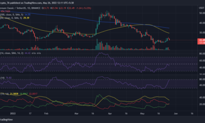 Ethereum Classic과 그 미니 랠리는 ETC의 장기 전망을 ...