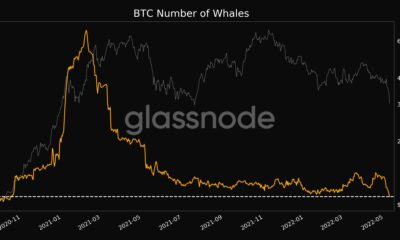 Bitcoin: BTC가 26,000달러 범위에 도달함에 따라 암호화 시장의 유혈 사태가 계속됩니다.