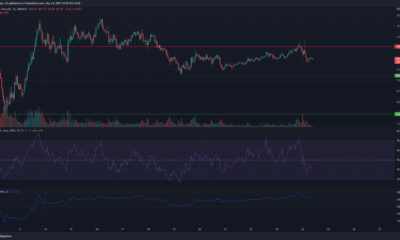 Polkadot, TRON, Loopring 가격 분석: 5월 24일