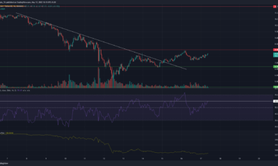 Chainlink, MATIC, SushiSwap 가격 분석: 5월 17일