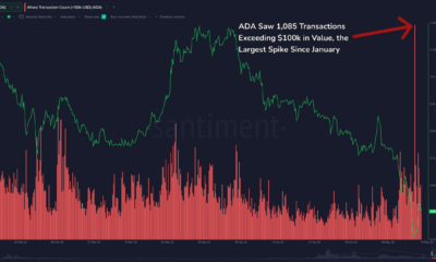 Cardano: 매각 후, 이러한 온체인 메트릭은 ADA의 미래에 대해 무엇을 말합니까?
