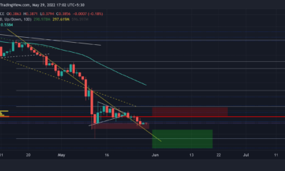 XRP: 투자자가 이 두 가지 결과를 활용하여 수익을 창출하는 방법
