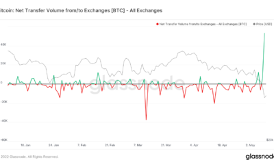 Bitcoin 반전 또는 추가 하락?  대답은 생각을 자극한다
