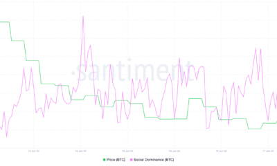 약세장에 직면한 Bitcoin의 거리 신용은 꽤 ...