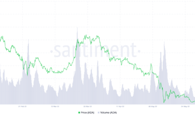 Cardano: 'Anti-Vasil' 광고가 ADA를 압도합니까?  답은 ...에 있습니다.