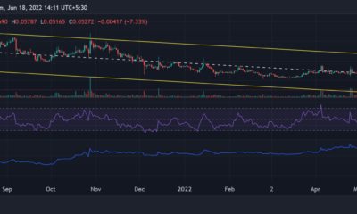 DOGE, Shiba Inu 및 LINK 가격 분석: 6월 18일