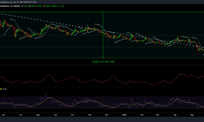 Musk는 Dogecoin을 대변합니다 [DOGE] 다시 말하지만 10센트까지 밀어붙이기에는 충분합니다.
