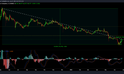 Dogecoin: $0.10 수준을 향한 DOGE의 상승에 대한 새로운 보고가 스포일러를 일으킬 수 있습니까?