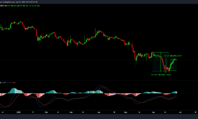 DeFi 펄스 지수가 대신 UNI에 감사해야 48% 증가