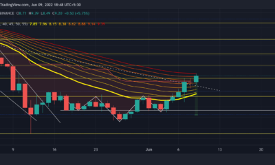 Chainlink: LINK의 최근 상승세에서 위험 신호 매핑