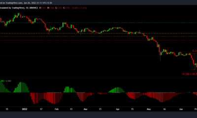 MATIC의 71% 랠리는 중장기 HODLer 관심을 유지하기에 충분합니까?