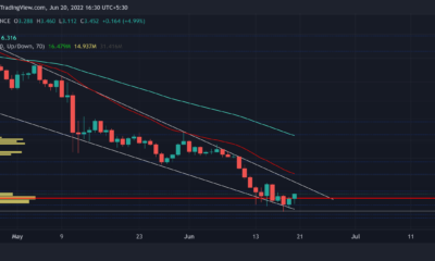여전히 HODLing NEAR의 의미 풀기