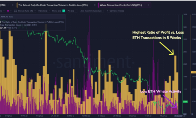 Ethereum 덕분에 5 주 만에 가장 높은 P / L 비율을 보았습니다 ...