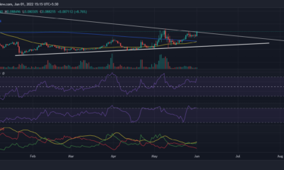 TRX의 5월 말 강세장이 아직 연장될지 여부 확인