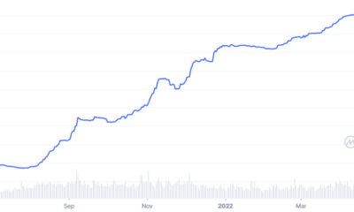 USDC 및 USDT: 스테이블 코인의 변화하는 인구 통계