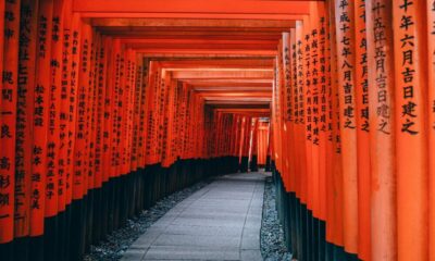 Terra UST 실패 이후 일본이 암호화 투자자를 보호하는 방법은 다음과 같습니다.
