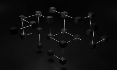 스테이블코인에 '스테이블'을 두는 방법: Djed와 USDD가 이를 크게 만들기 위해 노력하는 방법