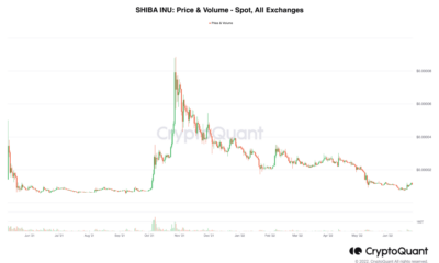 암호화 카드 출시로 Shiba Inu 소각률 급증  집회가 눈앞에 있다