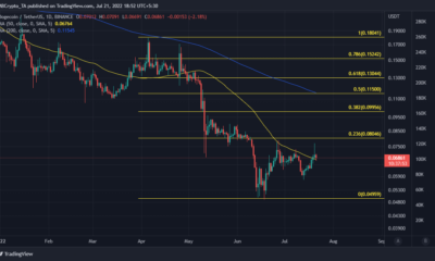 HODLing 또는 판매와 충돌하는 Dogecoin 거래자는 이것을 읽어야 합니다.