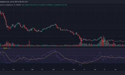 Chainlink: 이것이 LINK에 대한 이번 주 통합의 진정한 영향입니다.