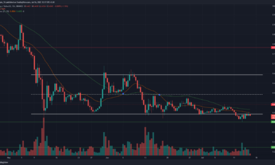 Cardano 곰은 가격 차트에서 또 다른 움직임을 시도하면서 축하할 이유가 있습니다.