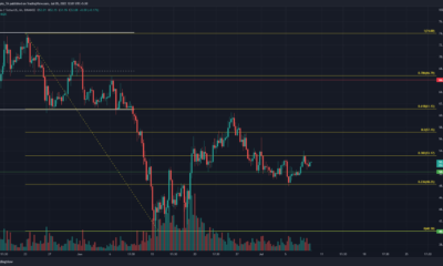 Litecoin 황소는 목숨을 걸고 50달러를 방어했지만 그들의 노력이 헛된 것이었습니까?