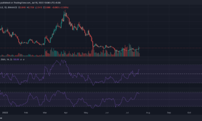 Thorchain이 BNB.RUNE, ETH.RUNE-디코딩 세부 정보 제거를 시작합니다.