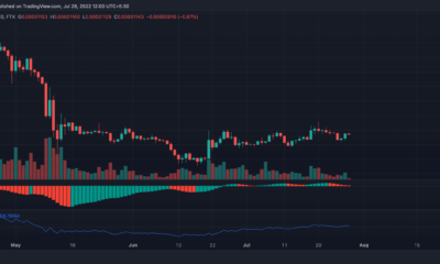 354만 달러 SHIB를 로드하는 ETH 고래가 투자자에게 의미하는 것