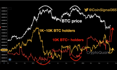 BTC 투자자는 이익을 취하기 전에 이러한 '포경' 표시를 읽어야 합니다