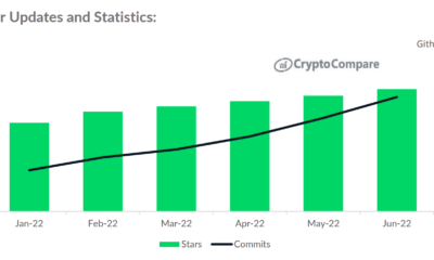Cardano 소지자는 85% 감소에도 불구하고 ...