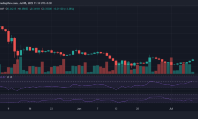 XRP 고래가 alt의 제한된 가격 움직임에 책임이 있습니까?