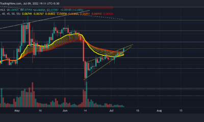 Tron: TRX의 최근 상승세에 대한 이러한 경고의 의미 평가